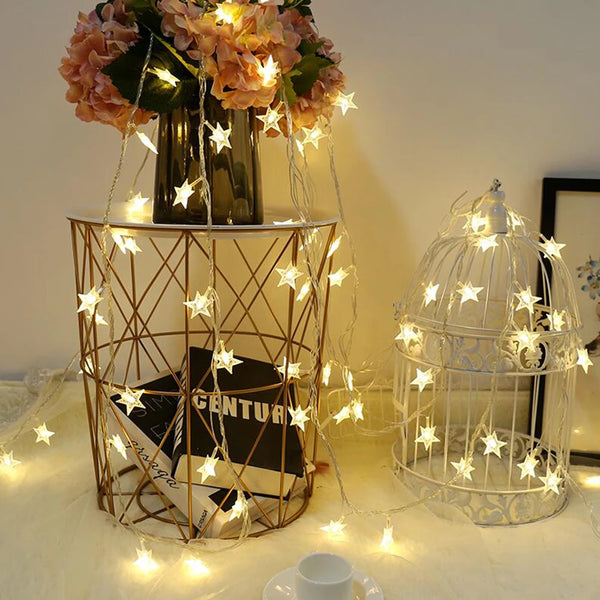 Twinkling Starry Night Lights